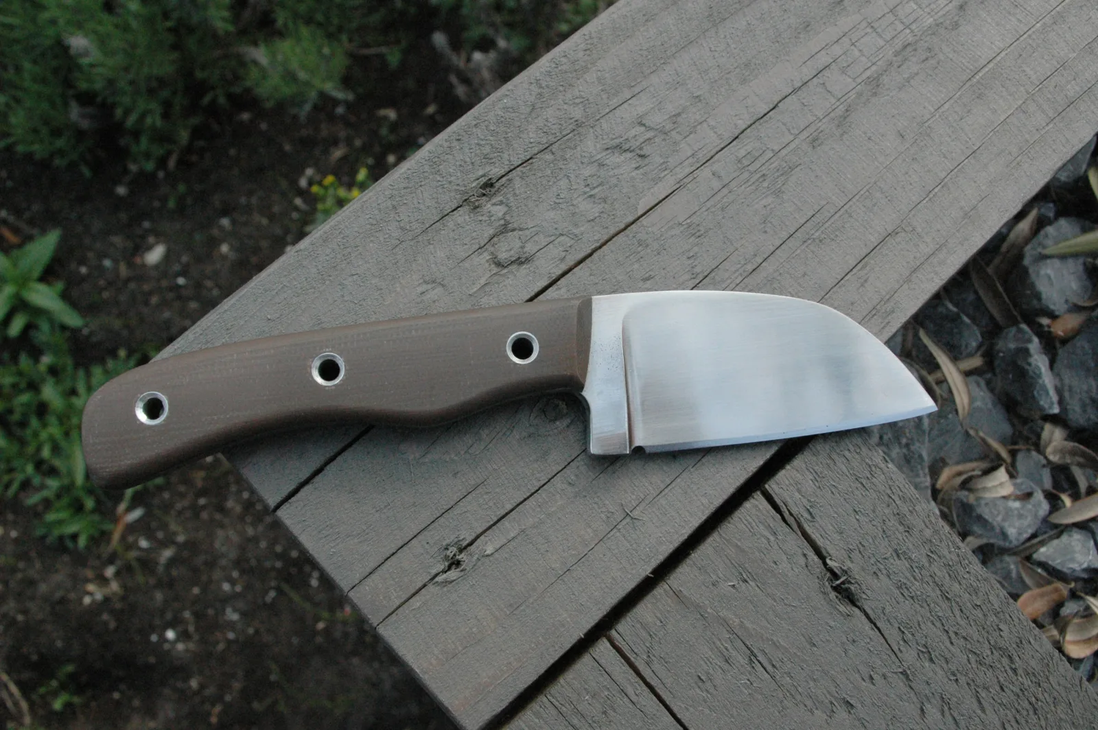 Hawk